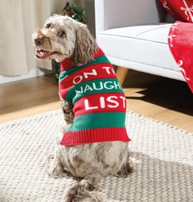 Chester's Pet Jumper On The Naughty List   