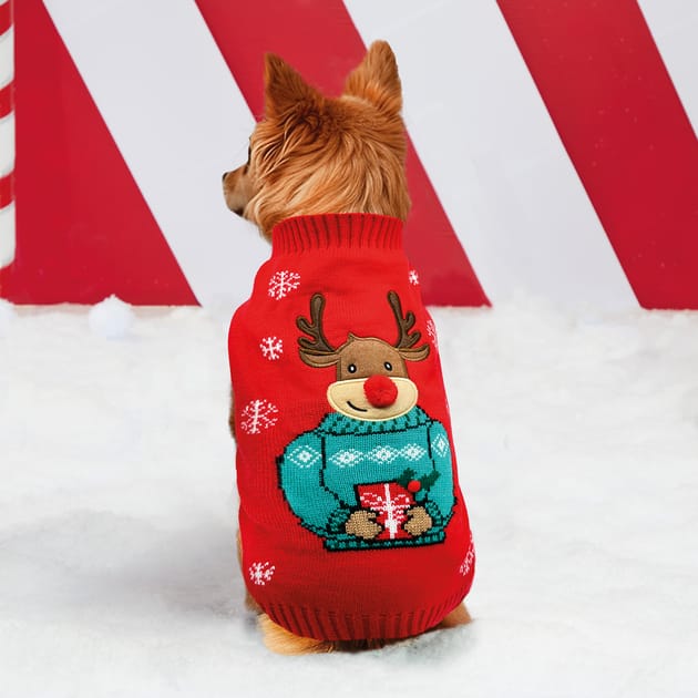 Chester's Knitted Pet Jumper Rudolf Home Bargains