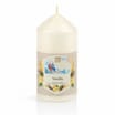Wickford & Co Small Pillar Candle - Vanilla