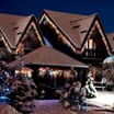 Prestige 600 Gutter Icicle Lights