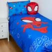 Spidey And His Amazing Friends Duvet Set - Single