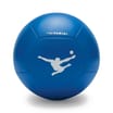 Panini Team Football - Size 5