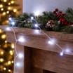 Prestige Mains Operated 100 LED Berry String Lights