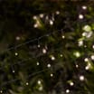 Firefly 100 LED Solar Power String Lights