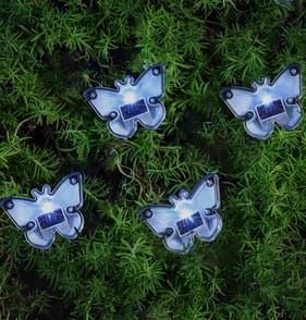 Firefly LED Solar Light 4 Pack