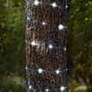 Prestige 100 LED Micro String Lights