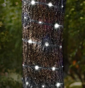 Prestige 100 LED Micro String Lights - Cool White