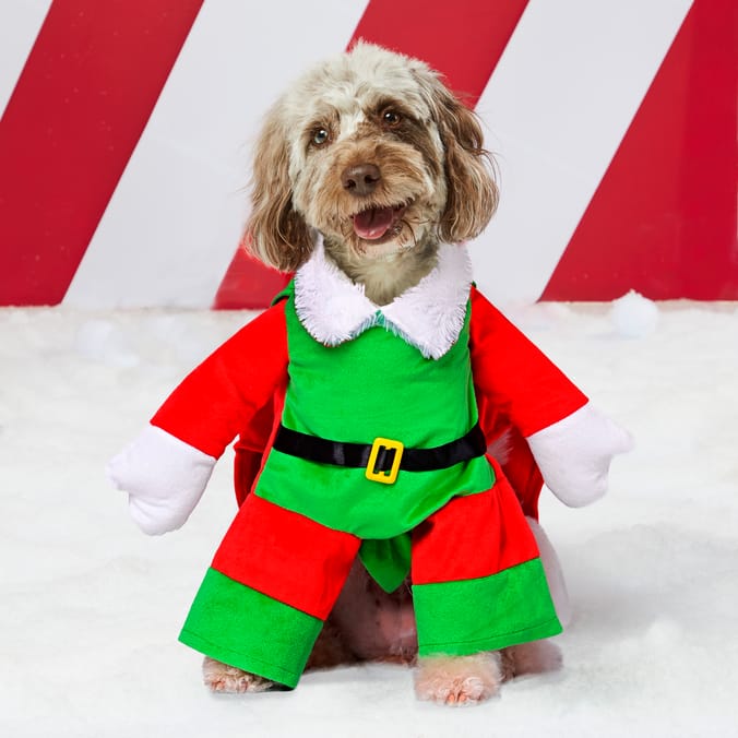 Chester's Dog Christmas Costume