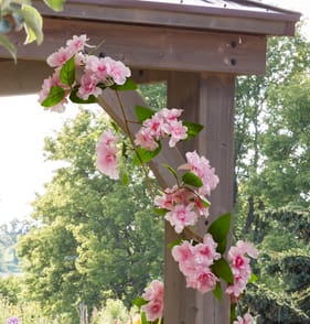 Jardin Artificial Blossom Garland - Pink