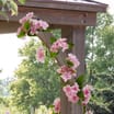 Jardin Artificial Blossom Garland