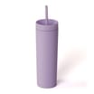 Hydrate Double Wall Bottle With Straw 480ml