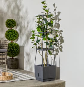 Jardin Self-Watering Planter