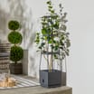 Jardin Self-Watering Planter