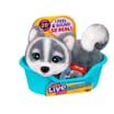 Little Live Pets My Really Real Puppy Mini - Aurora