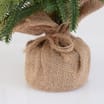 Festive Feeling Pine Table Tree
