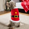 Chester's Reversible Pet Costume - Elf/Santa