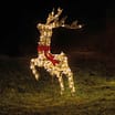 Prestige Mains Operated LED Iridescent Reindeer 1.16m