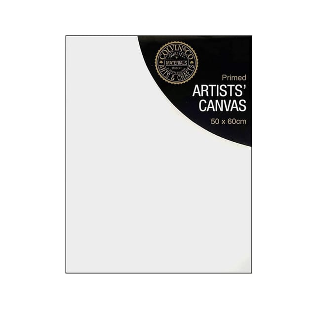 Colvin Co Artists 50x60cm Canvas x12 Home Bargains