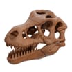 Clementoni Archeofun T-Rex Activity Set