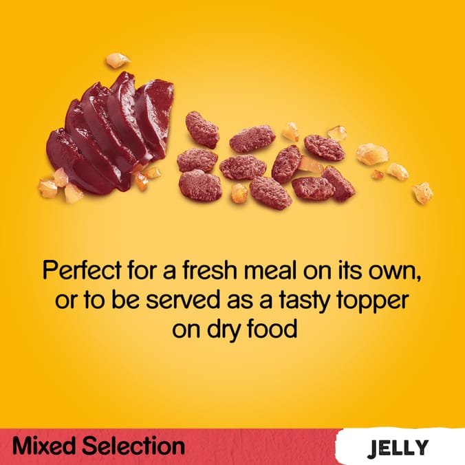 Pedigree Mixed Selection in Jelly Adult Wet Dog Food Pouches 12 x 100g