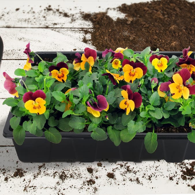 Jardin Large Seed Trays 5 Pack