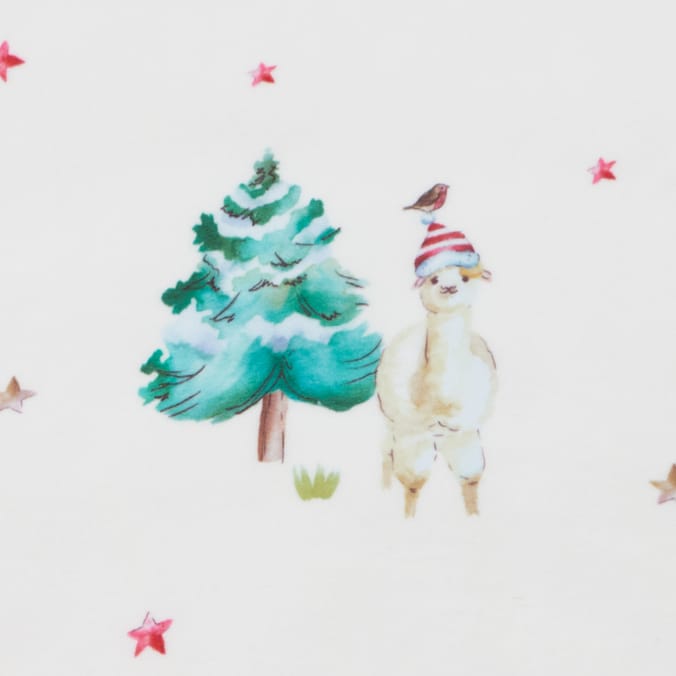 Hinch Farm Christmas Supersoft Throw