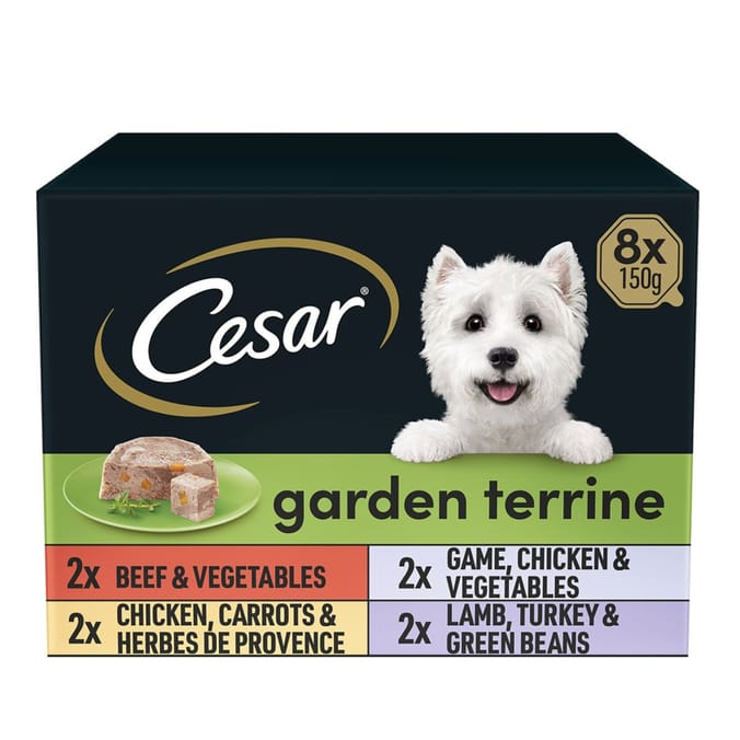 Cesar Garden Terrine Wet Dog Food in Tray 8 x 150g