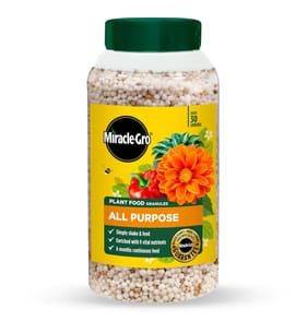 Miracle-Gro Continuous Release All Purpose Plant Food Granules 900g