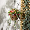 Jardin Artifical Rattan Hanging Basket