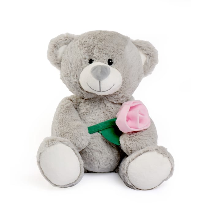 Home bargains store large teddy