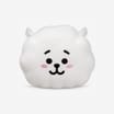 BT21 Plush Cushion - RJ
