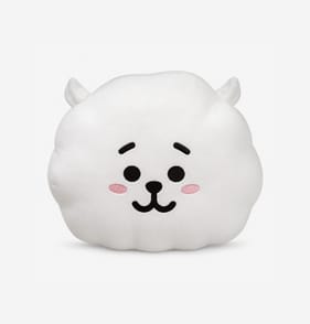 BT21 Plush Cushion - RJ