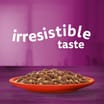 Whiskas Meaty Meals in Jelly 1+ Adult Wet Cat Food Pouches 12 x 85g