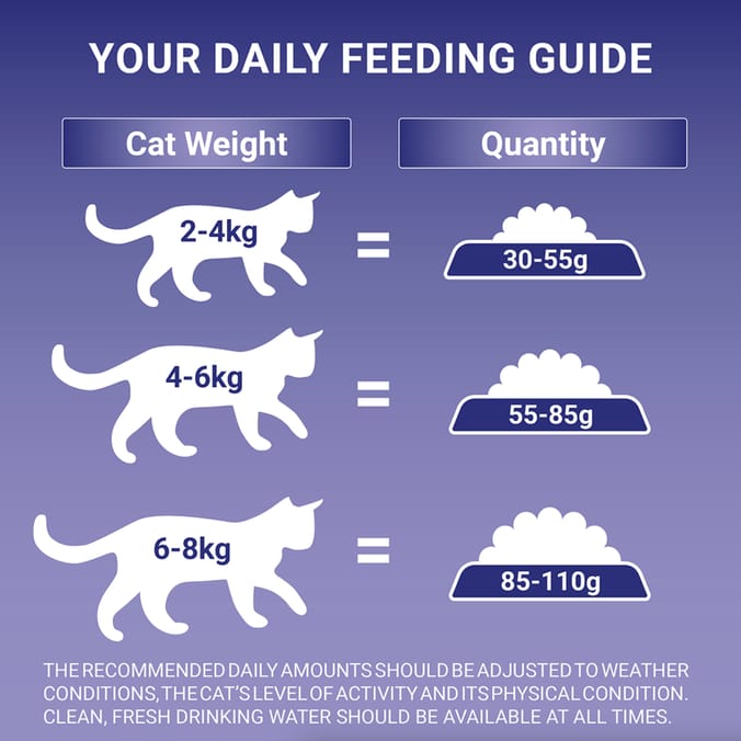 Purina One Sensitive Turkey & Rice Dry Cat Food 750g