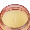 Outdoor Fruit Citronella Candle