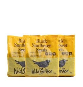 Wild Garden Black Sunflower Seeds 1kg x3