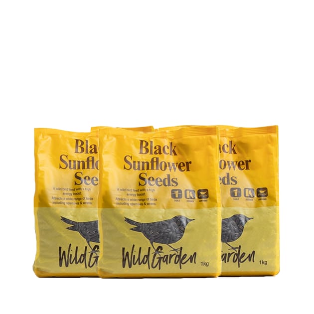 Wild Garden Black Sunflower Seeds 1kg x3 Home Bargains