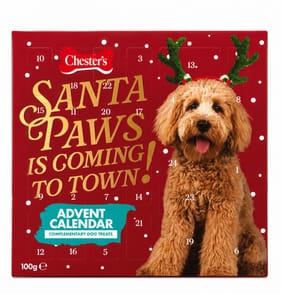 Chesters Christmas Advent Calendar 100g   