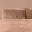 The Winter Warmer Collection Teddy Single Duvet Set