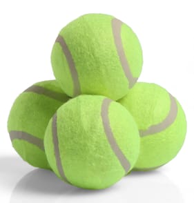 My Pets Play! Tennis Balls 4 Pack
