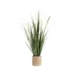 Home Collections Grass In Rope Pot