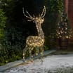Prestige Rattan Reindeer 1.6m