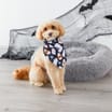  My Pets Halloween Pet Bandana - Ghost