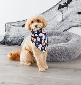  My Pets Halloween Pet Bandana - Ghost