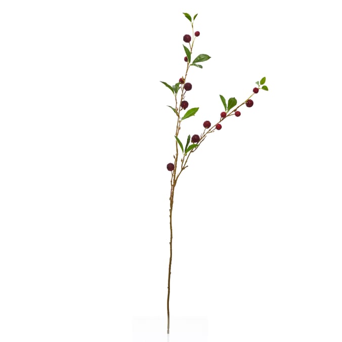 Home Collections Berry Pick 