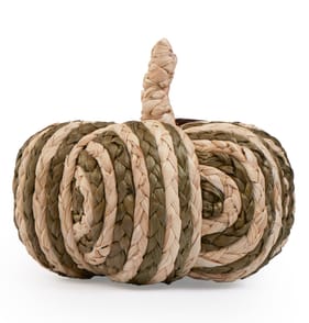 The Lifestyle Edit Harvest Rattan Pumpkin - Green