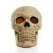 Haunted House Light Up Giant Skull