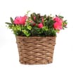 Jardin Large Artificial Natural Flower Basket