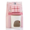 Wickford & Co Wax Melts & Burner Set - Blush Beaches