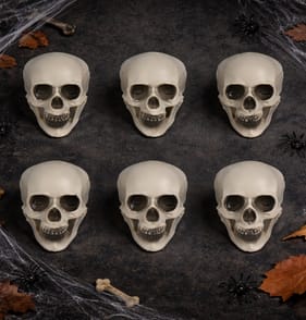 Hallow Scream Characters In A Bag - Skull